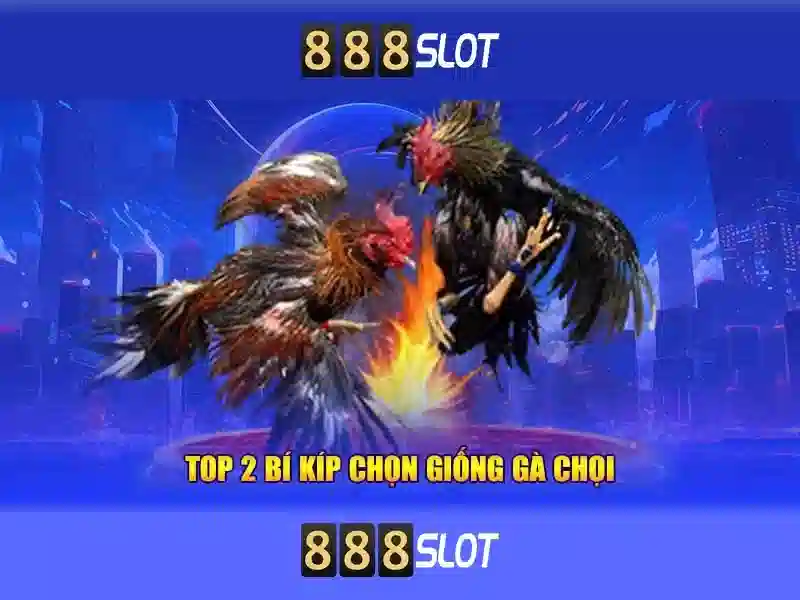 888slot - Nền tảng slot trực tuyến an toàn và tin cậy