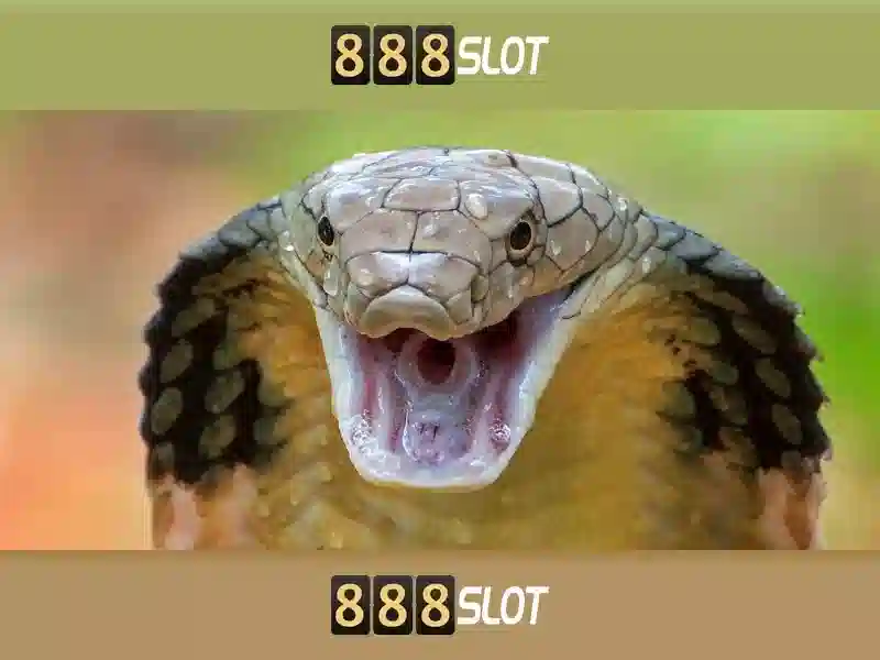 888slot - Nền tảng trò chơi xèng trực tuyến nổi bật Giao diện nhà cái hoàn hảo