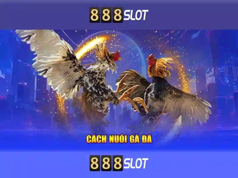 888slot – trải nghiệm slot trực tuyến hàng đầu tại Việt Nam Giao diện nhà cái hoàn hảo