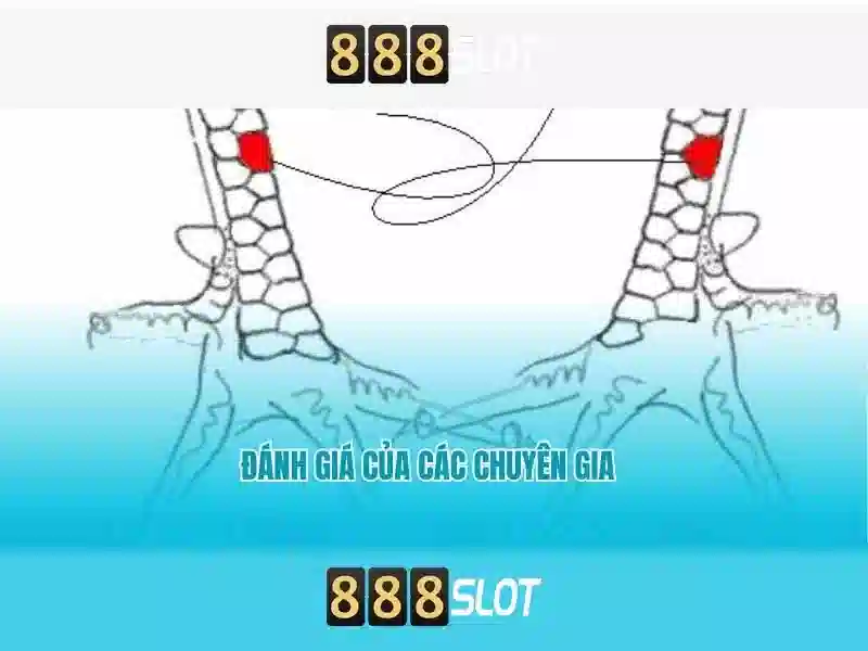 Giao diện nhà cái hoàn hảo