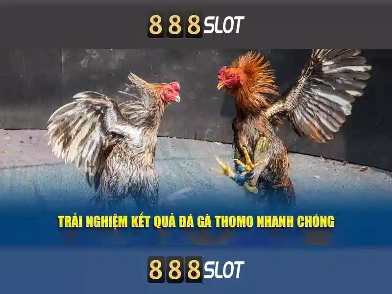 An-toan-du-lieu-888slot