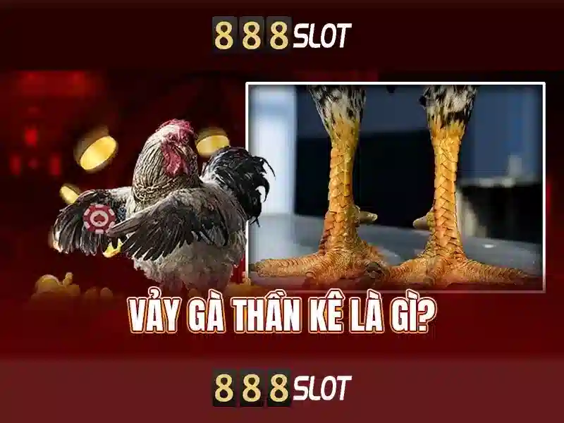 Giới thiệu về 888slot