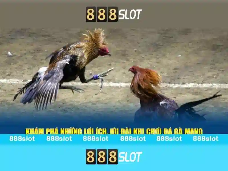 Trò chơi và trải nghiệm