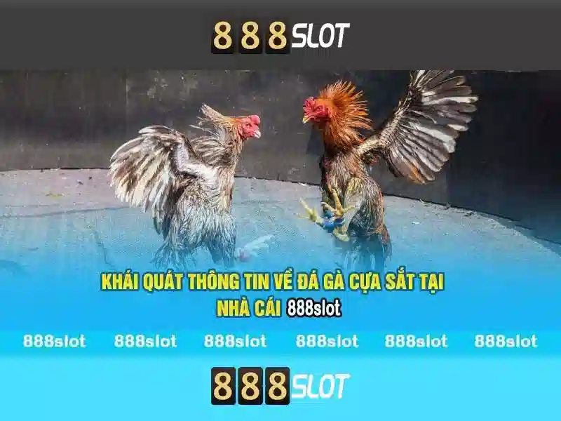 Giao diện và trải nghiệm người dùng