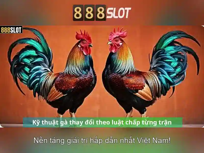 Khuyến mãi và thanh toán