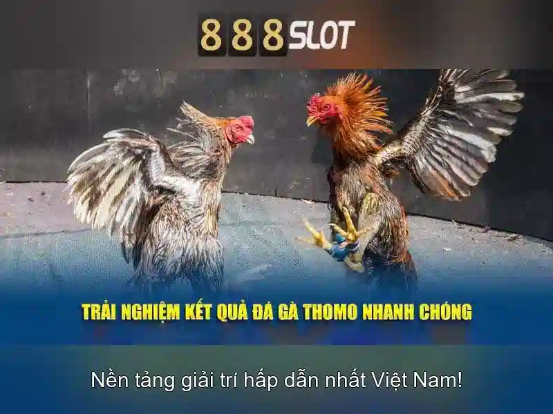 Thu-thap-du-lieu