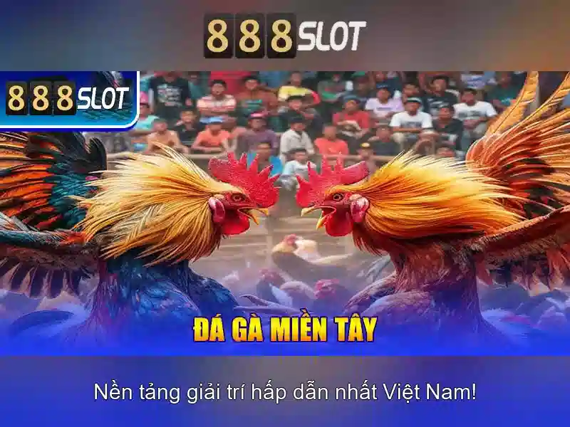 Cổng thanh toán và khuyến mãi hấp dẫn