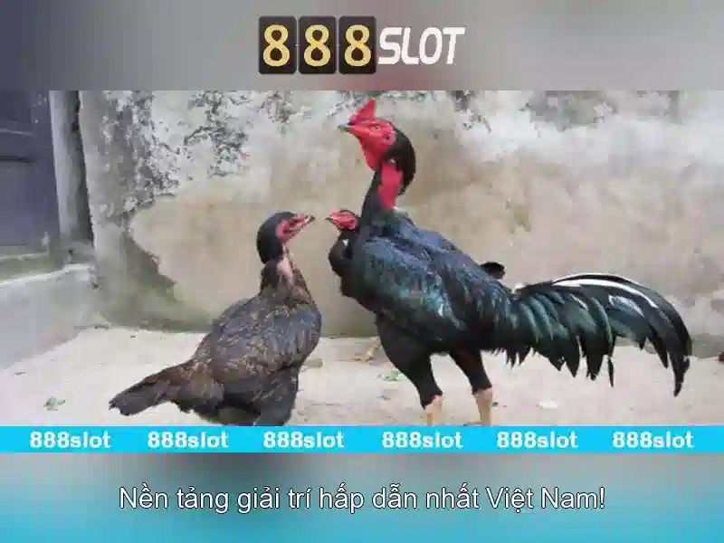Tinh-nang-ung-dung