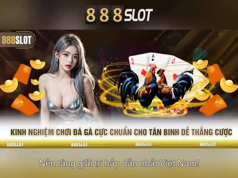 An toàn và thanh toán
