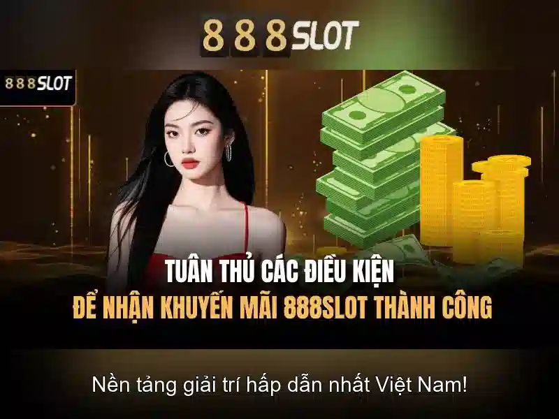 Chinh sach khuyen mai va dieu khoan su dung